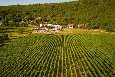 Villa Krolo & Wine - Split, Dalmatia