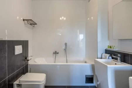 Villa LaDominika - Central Istria, Istria
