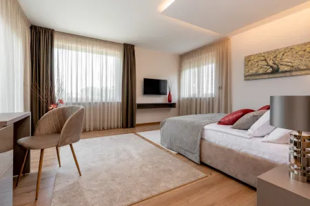 Villa Laurea - Labin, Istria