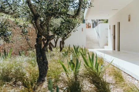Villa Litica - Hvar, Islands