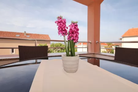 Villa Marko A1 - Zadar, Dalmatia