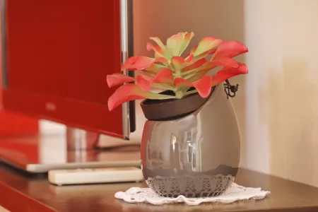 Villa Marko A1 - Zadar, Dalmatia