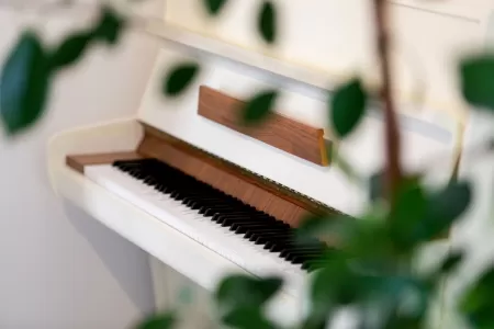 Villa Natanel - Brač, Islands