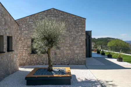Vila Noeli - Motovun, Istra