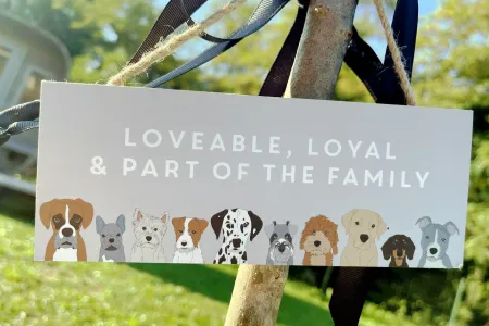 Vila Octava - Barban, Istra