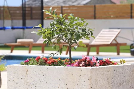 Villa Orkula - Zadar, Dalmatia