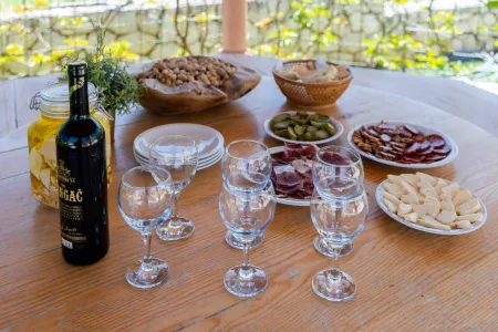 Villa Padel Retreat Drnis - Sibenik, Dalmatia