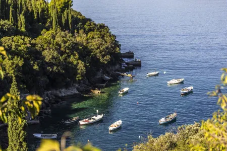 Villa Palma Molunat - Dubrovnik, Dalmatia