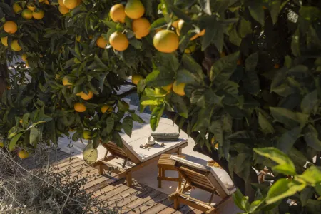 Villa Palma Molunat - Dubrovnik, Dalmatia