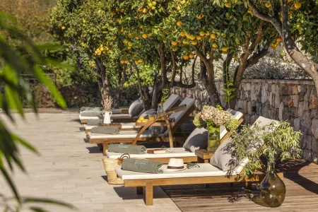 Villa Palma Molunat - Dubrovnik, Dalmatia