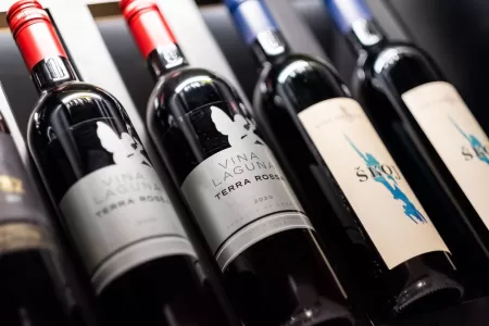 Villa Plant IV - Zadar, Dalmatia