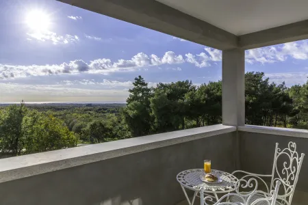 Vila Sterpazzi - Poreč, Istra