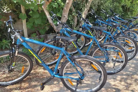 Villa Suncica - Zadar, Dalmatia