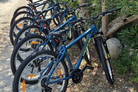 Villa Suncica - Zadar, Dalmatia