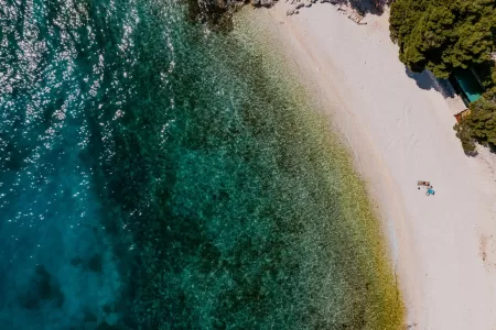 Villa The Palm House - Split, Dalmatia