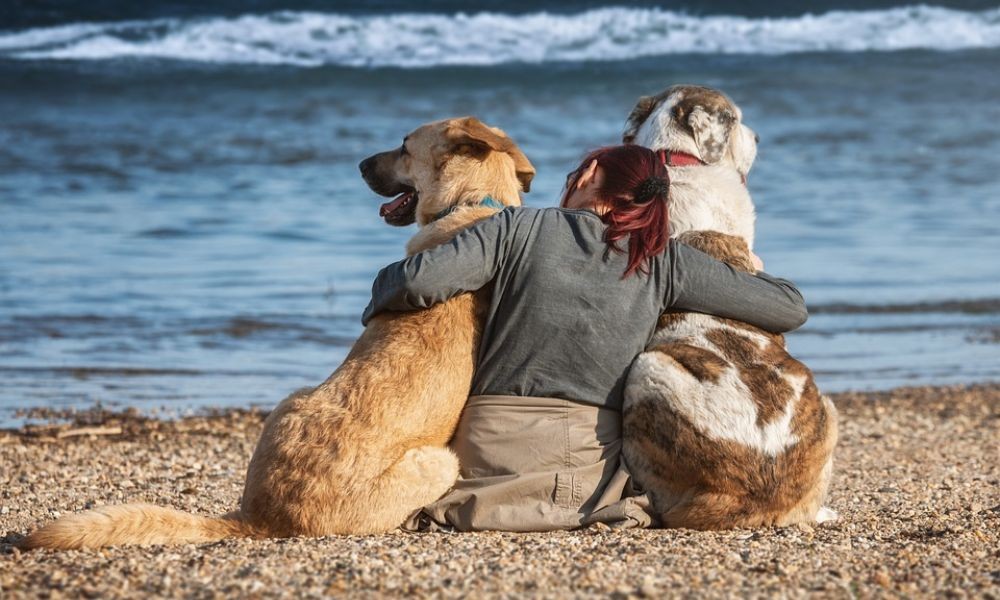 Pet friendly Beaches in Croatia