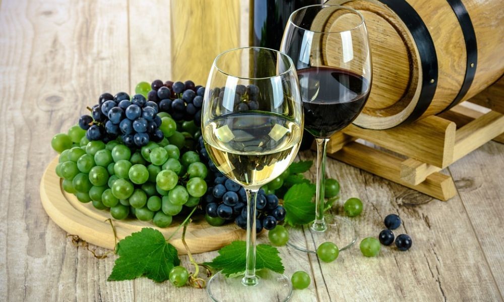 The Best Wines of Dalmatia