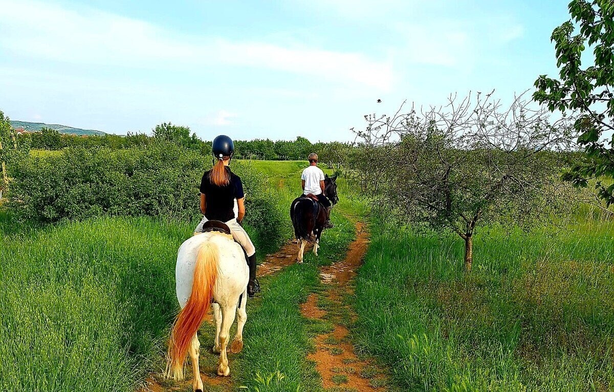 Unicorn Stable Škabrnja