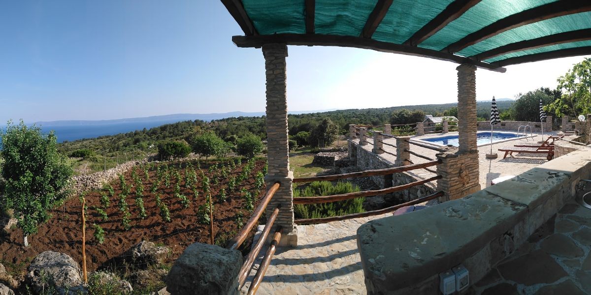 Small Vineyard - Adriatic Luxury Villas