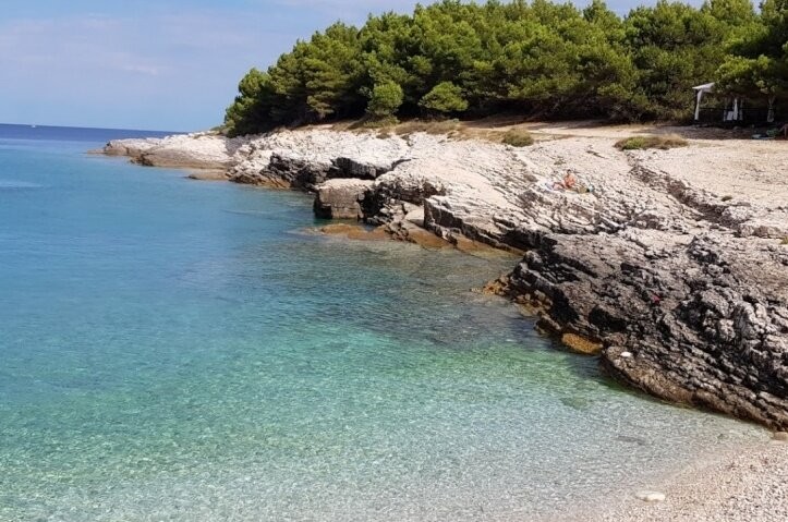 Uvala nudi najbolje plaže za pasa - planirajte svoja putovanja i kupanje sa dog ovdje.