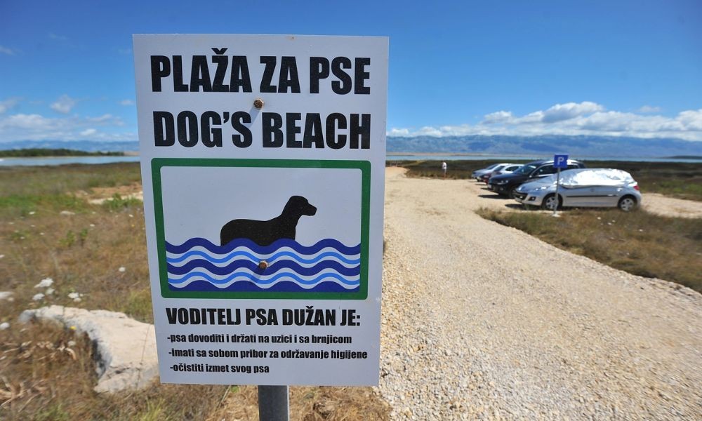 Hundestrand Privlaka bei Zadar Dalmatien - Adriatic Luxury Villas, Haustierfreundliche Küste mit offiziellen hundestrände, hotels. Auch in Istrien und krk, inslen, können vierbeiner auf stränden und im Ferienhaus verweilen.  