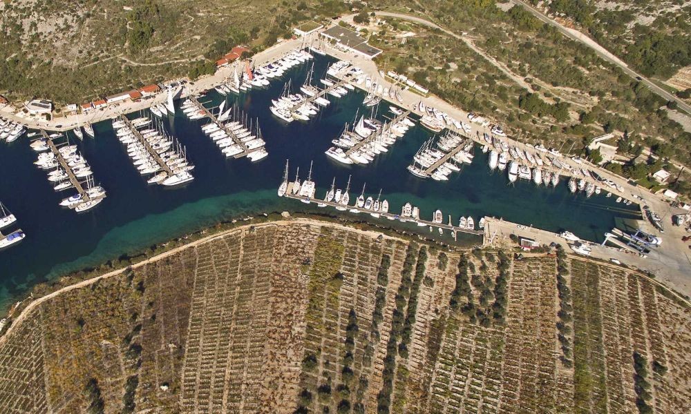 Vineyards of Bucavac in Primosten near Sibenik Croatia - Adriatic Luxury Villas