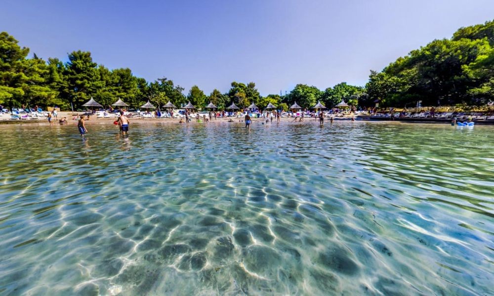 Kristalno čista plitka voda Pine Beach Pakoštane, okružena bujnim borovima i ležaljkama na pješčanoj obali, s posjetiteljima koji uživaju u ljetnom danu.