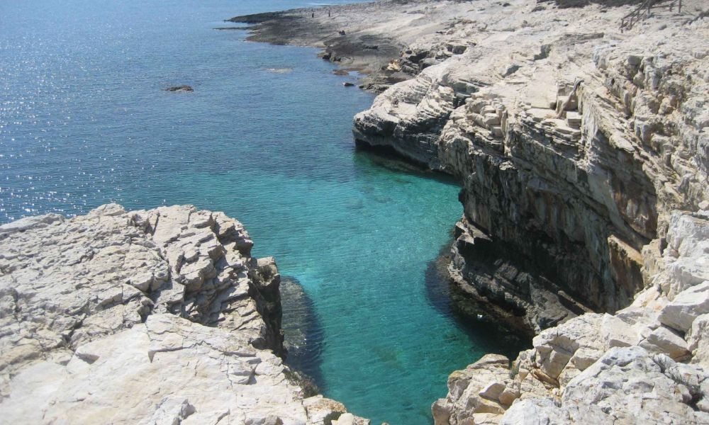 Swimming at Cape Kamenjak in Istria - Adriatic Luxury Villas