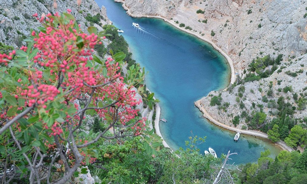 Snorkeling in the Zavratnica Bay in Croatia - Adriatic Luxury Villas